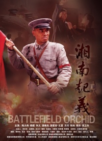 亚洲精品视频免费在线观看